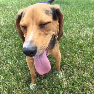 Meet your Posher, Shailey